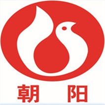 朝陽(yáng)泵業(yè)QZ軸流、QH混流潛水電泵